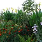 וילה Kindya Stone House