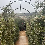 Kindya Stone House וילה *